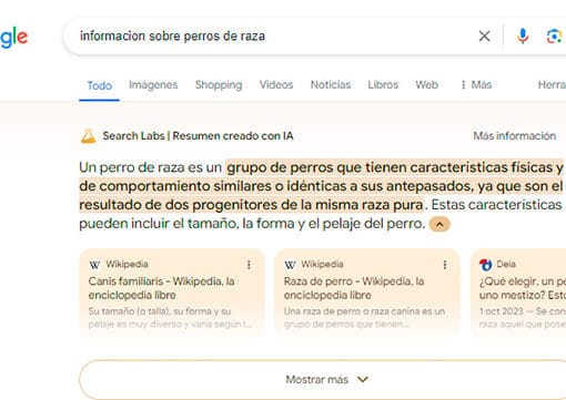 ejemplo de ia generativa de google